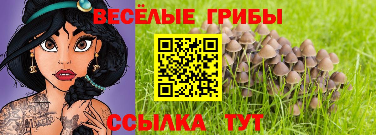 Псилоцибиновые грибы ЛСД Красноуфимск